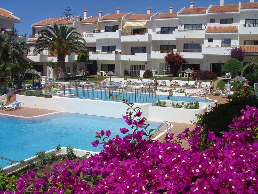 Cristian Sur Apartment *